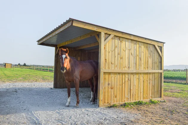 Weidehütte Classic